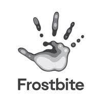 Frostbite - Electronic Arts (EA)